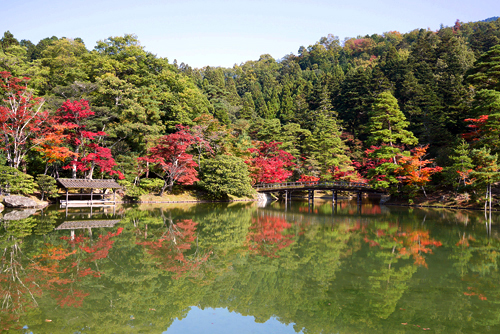 京都旅行2014☆秋　～３日目　その１～_f0166645_14473084.jpg