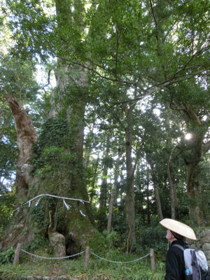 尾鷲研修ツアー最終日・熊野古道伊勢路_f0019247_12244178.jpg