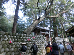 尾鷲研修ツアー最終日・熊野古道伊勢路_f0019247_12262131.jpg