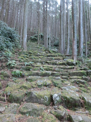 尾鷲研修ツアー最終日・熊野古道伊勢路_f0019247_138378.jpg