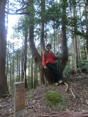 尾鷲研修ツアー最終日・熊野古道伊勢路_f0019247_17574283.jpg