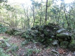 尾鷲研修ツアー最終日・熊野古道伊勢路_f0019247_17584727.jpg