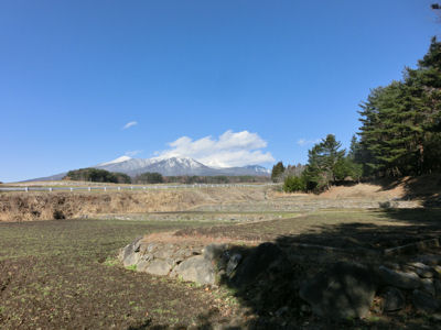 年越し蕎麦ウォークは代表参加_f0019247_22284546.jpg