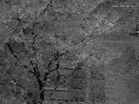b0287453_22373701.jpg