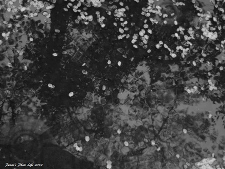 b0287453_22373772.jpg