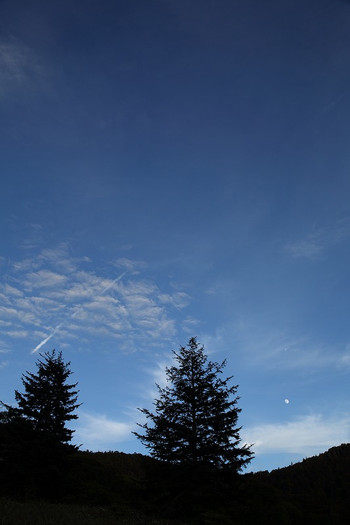 b0287453_22380664.jpg