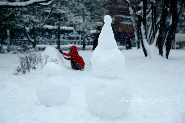 大雪の日_b0287453_22381724.jpg