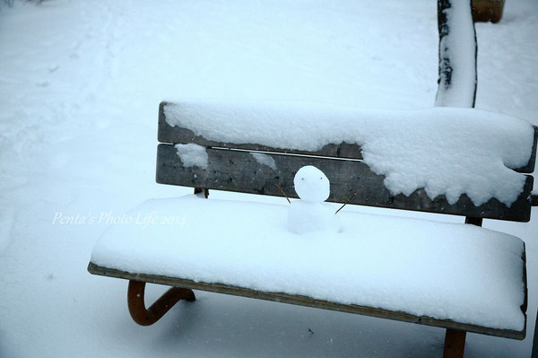 大雪の日_b0287453_22381765.jpg