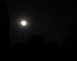 d0050155_9413419.jpg