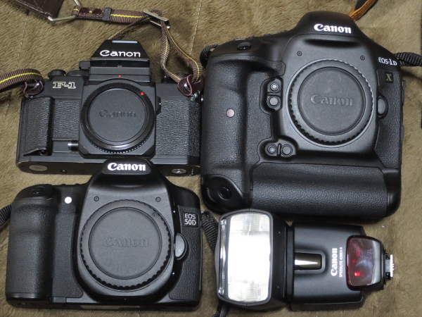 b0201258_826257.jpg