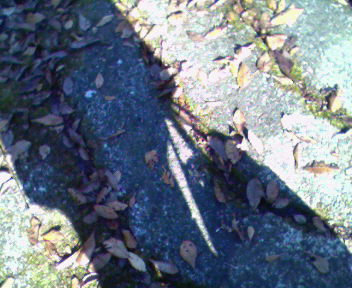 b0105259_1812040.jpg