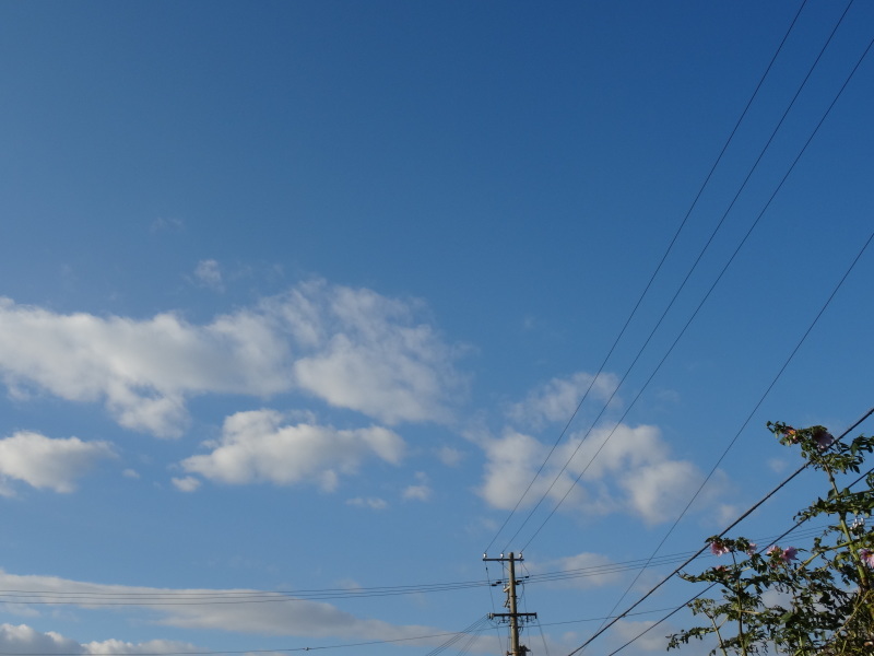 c0108460_17343691.jpg
