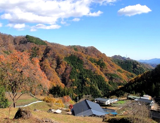 c0119160_5493656.jpg