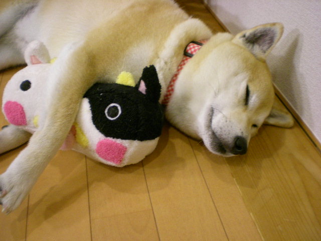 ’14,12,9(火)ウクレレの早練!_f0060461_941010.jpg