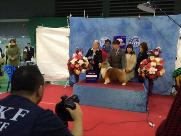 二日目 ショー編_f0126965_18203920.jpg