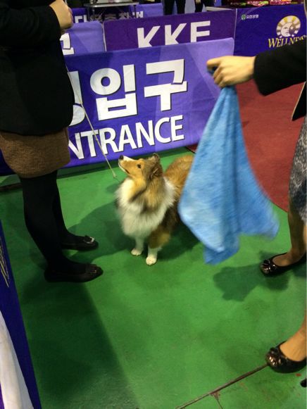 二日目 ショー編_f0126965_20442459.jpg