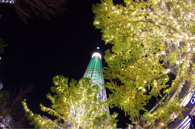 c0326066_1624733.jpg