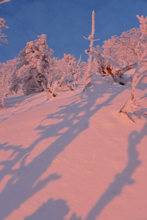 白き山々　　弥山_c0303868_8305472.jpg