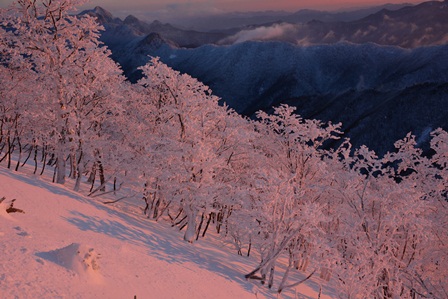 白き山々　　弥山_c0303868_8495552.jpg