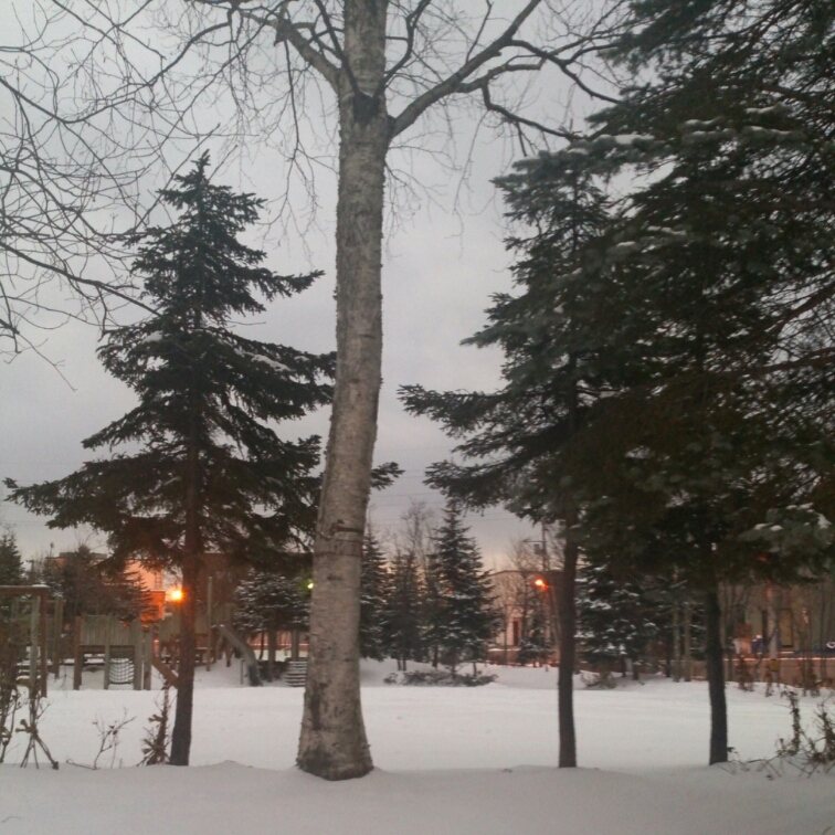 c0311170_6491056.jpg