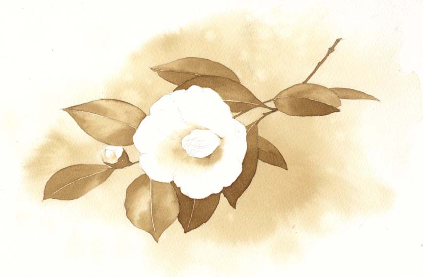 椿 水彩画&コーヒー画_f0176370_14472032.jpg
