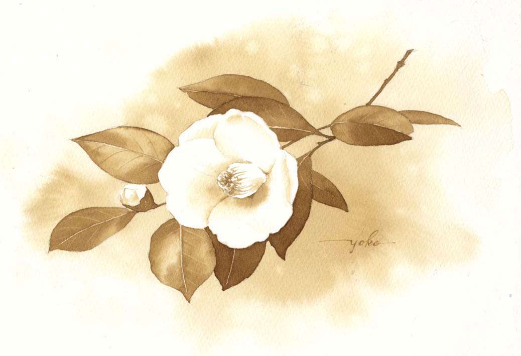 椿 水彩画&コーヒー画_f0176370_14473738.jpg