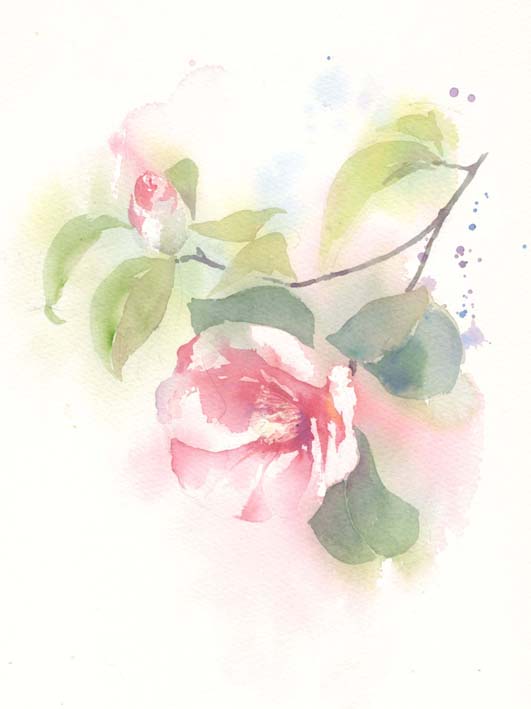 椿 水彩画&コーヒー画_f0176370_14484564.jpg