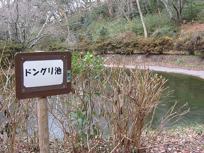 f0259373_12080503.jpg