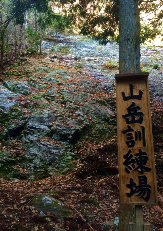 篠山三尾山 Mountain Running 2014/12/09_b0220886_19433816.jpg