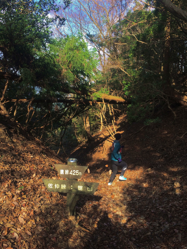 篠山三尾山 Mountain Running 2014/12/09_b0220886_2010296.jpg