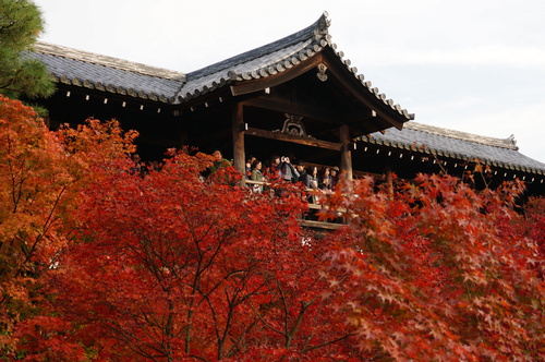 京都紅葉めぐり２０１４（東福寺）_b0178388_12484678.jpg