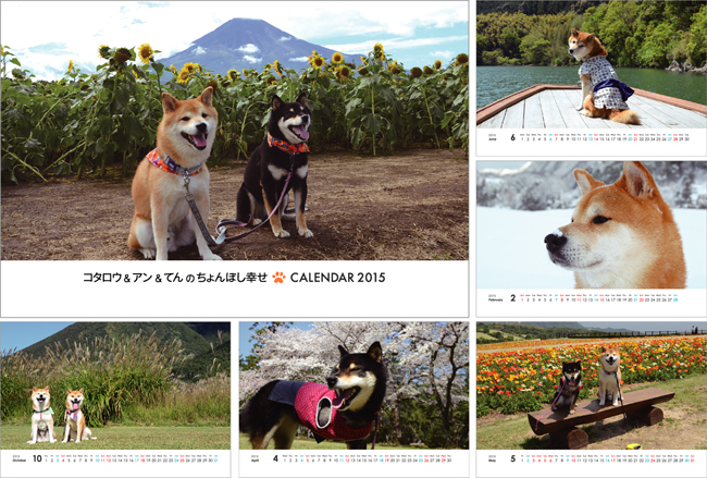 間違えた！_a0126590_23001684.jpg