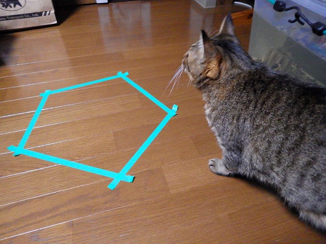 a0159490_15184496.jpg