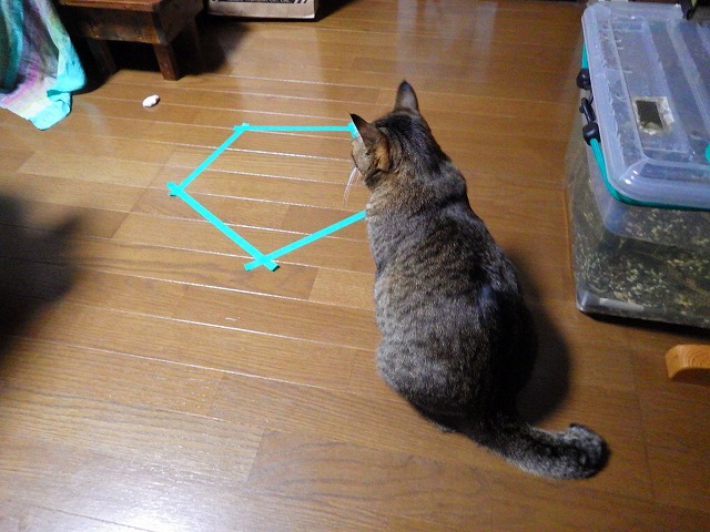 a0159490_15184650.jpg