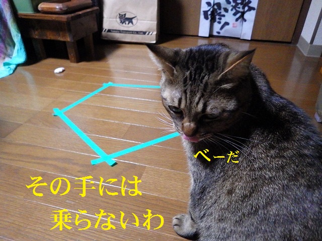 a0159490_15184810.jpg
