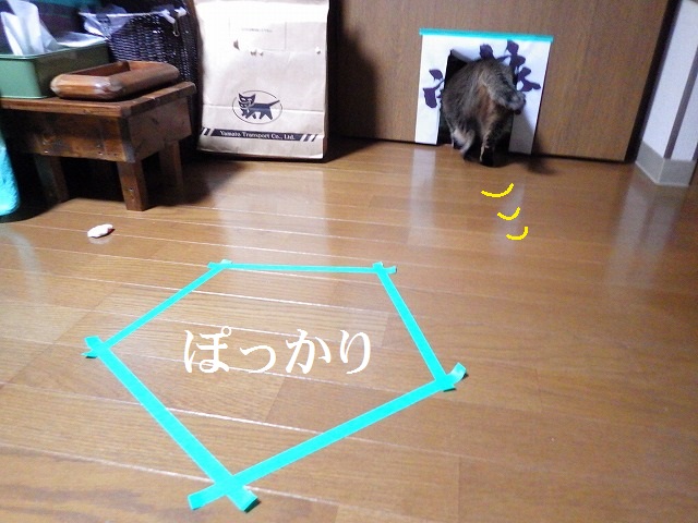 a0159490_15211330.jpg