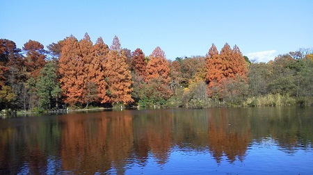 a0289494_16453534.jpg
