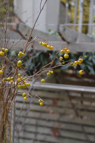 c0124100_15412659.jpg