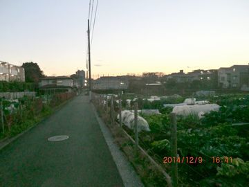 d0051601_01114952.jpg