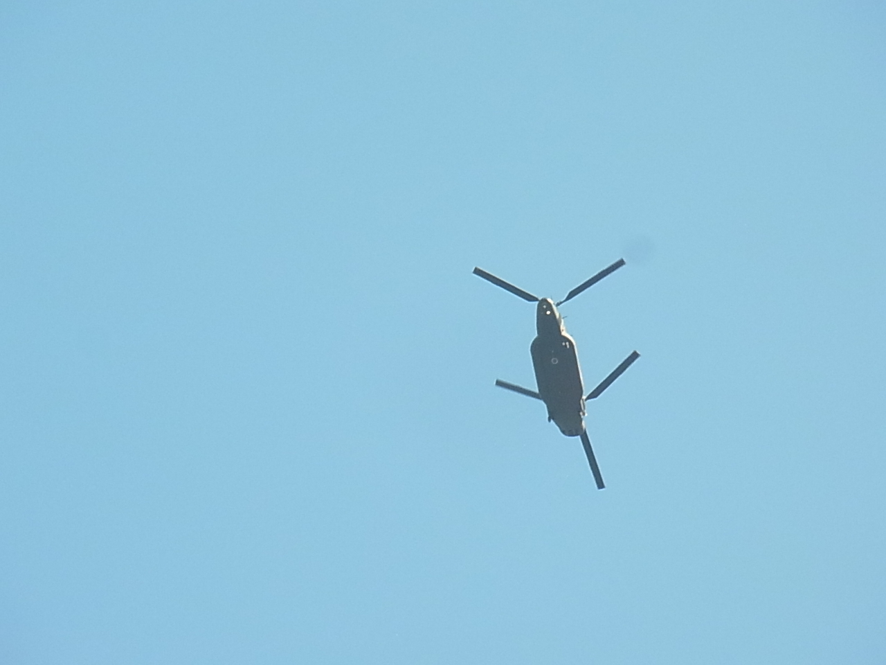 c0238603_1122744.jpg