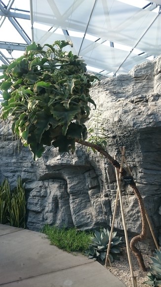 f0221204_1455955.jpg