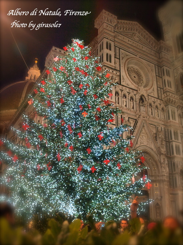 クリスマスツリー＆イルミネーション　Firenze 2014_a0207108_02380179.jpg