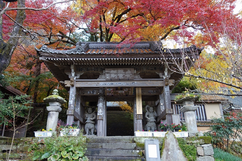 晩秋の国宝富貴寺_d0116009_4235596.jpg