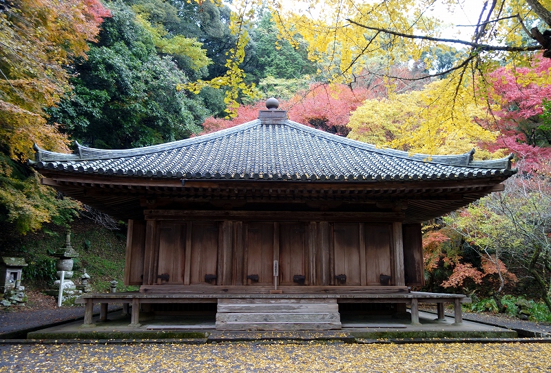 晩秋の国宝富貴寺_d0116009_4243593.jpg