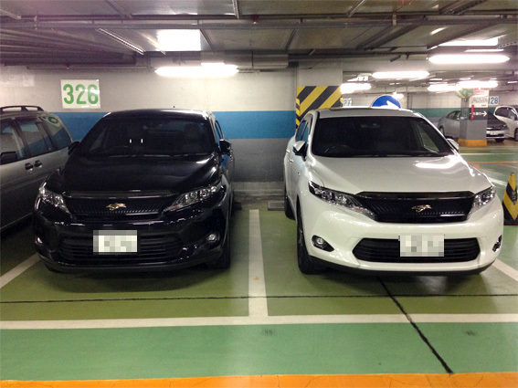 ハリアーの色違い Photographer Shuichi Tsunoda Blog ハリアーの色違い Photographer Shuichi Tsunoda Blog