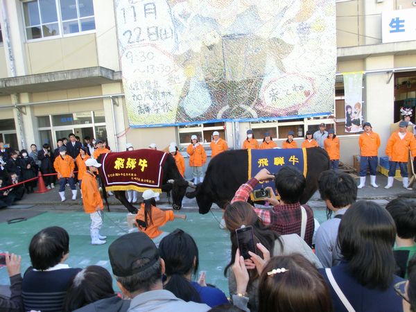 第56回 平成26年度緑園祭&スタンプラリー2期_d0237121_12591057.jpg