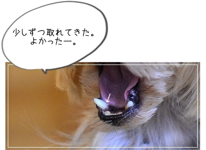d0179828_08580572.png