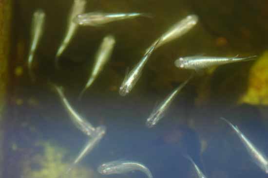 e0097534_14374411.jpg