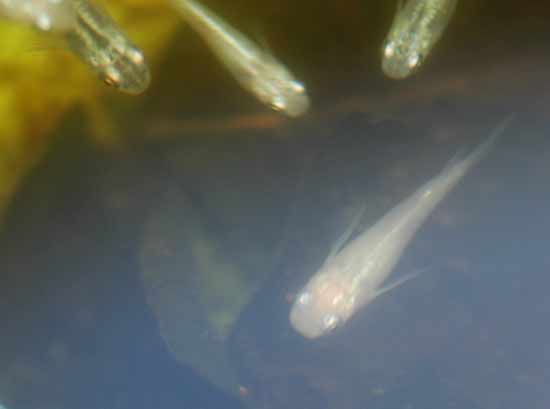e0097534_14461073.jpg