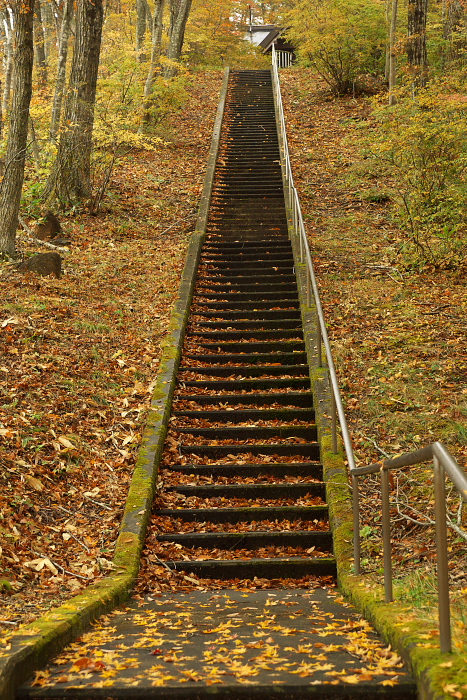 c0180845_2413167.jpg